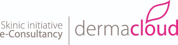 Skinic Initiative Skinic Initiative